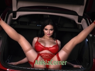 AnisiaCorner