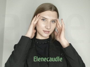 Elenecaudle