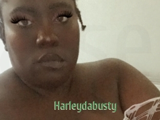 Harleydabusty