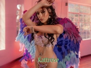 Kattrose