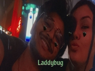 Laddybug