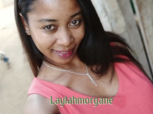 Laylahmorgane