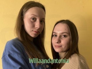 Willaandantonia